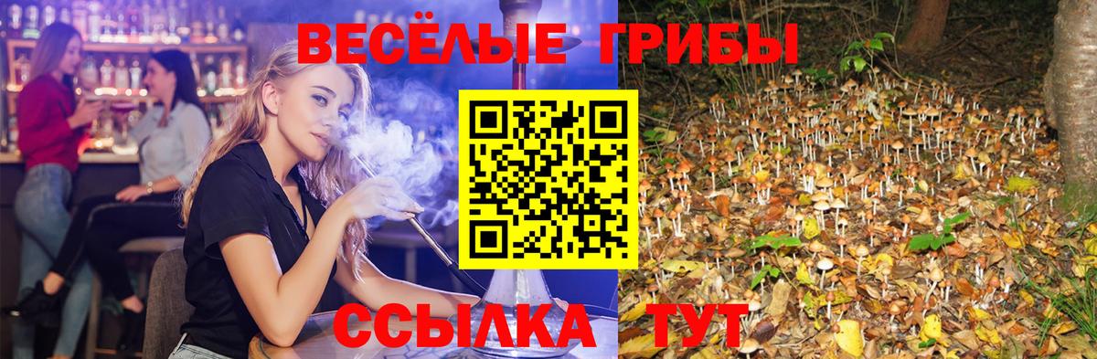 Галлюциногенные грибы GOLDEN TEACHER  Вход с VPN  Псилоцибиновые грибы мицелий  Иваново 