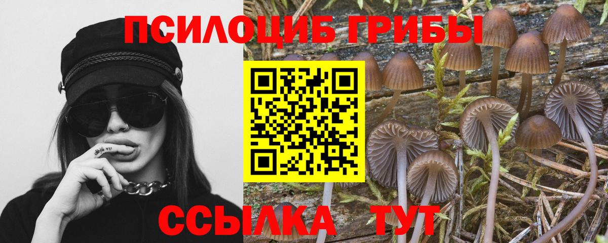 Галлюциногенные грибы MAGIC MUSHROOMS Иваново